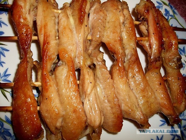 Крылинные курья