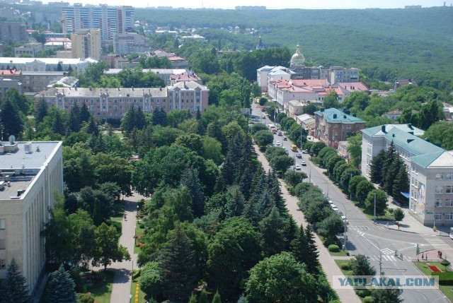 Кто из Ставрополя?