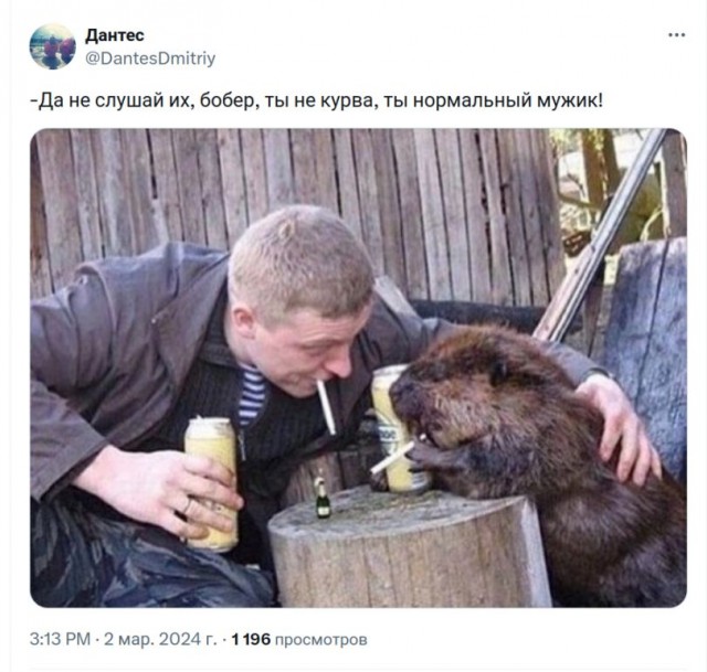 Среда пришла - неделя прошла, дорогие деграданты