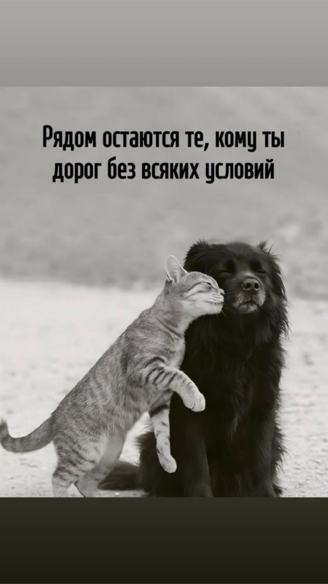 Прикольные и просто красивые картинки 16.05.2025