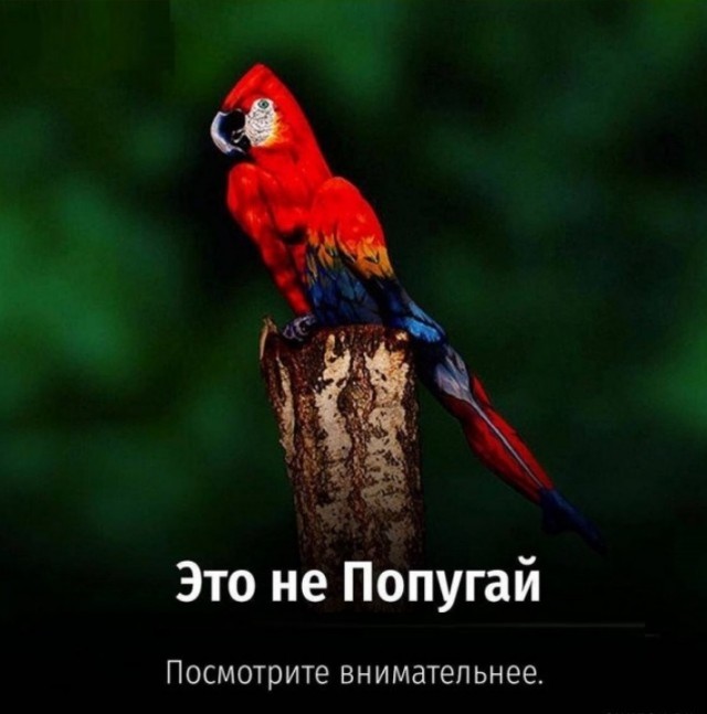 ТРРРидцать тРРРи от 22 мая