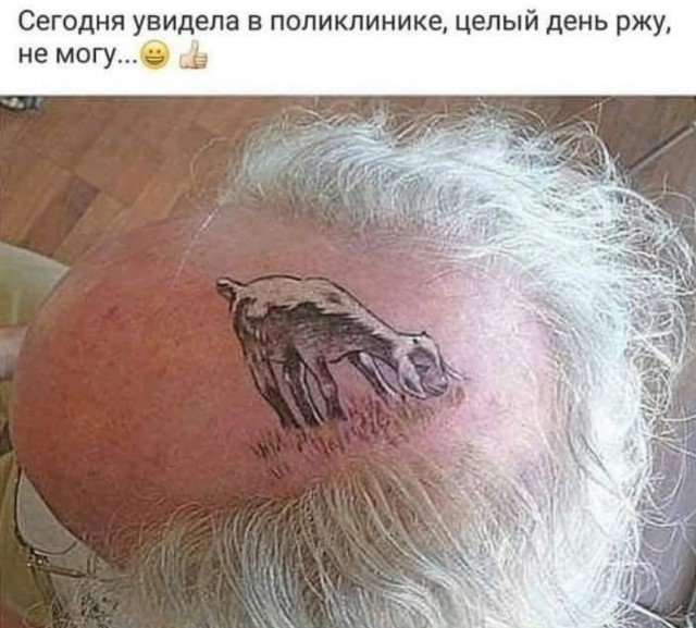 Так себе картинки 12.06.25