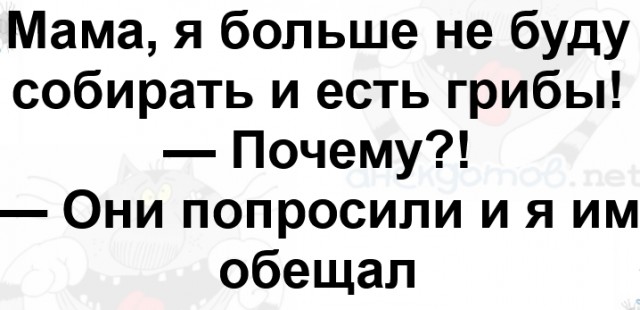 Грибной поход . День второй