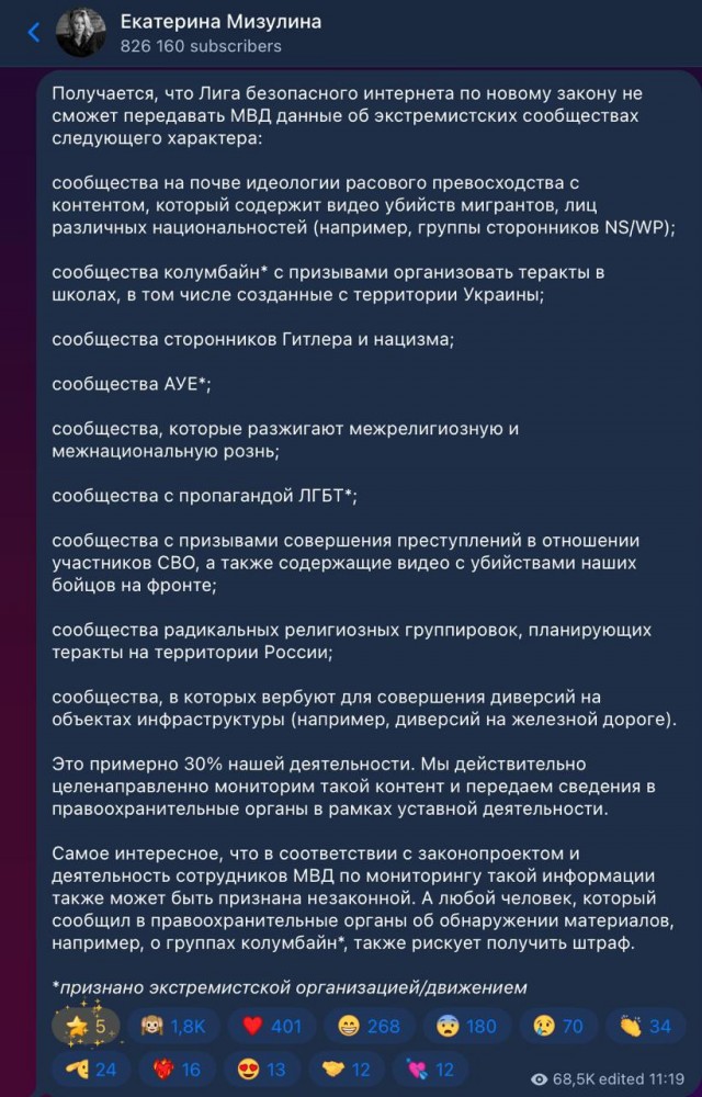 Екатерина Мизулина раскритиковала законопроект о запрете на поиск в интернете запрещённых материалов
