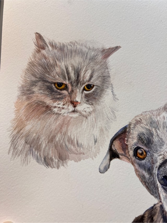 Групповой портрет - 2 кошки и собака