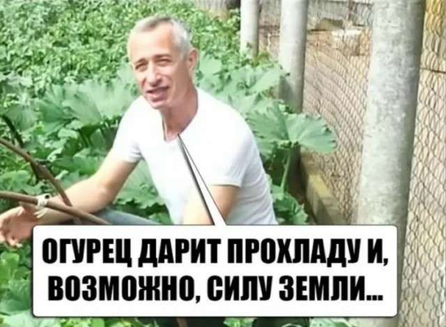 Тренд на СДВГ-терапии