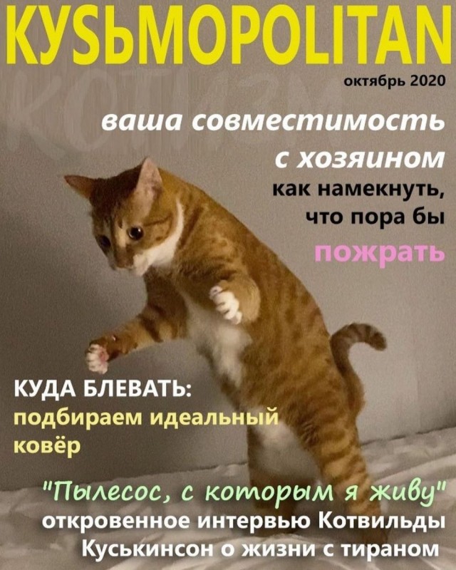 Прикольные и просто красивые картинки 18.11.2025