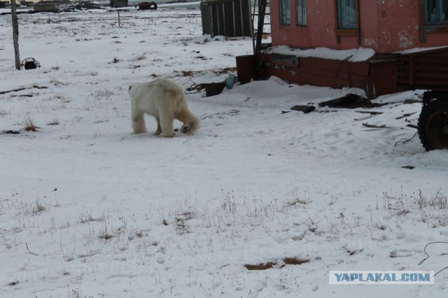 Cтанция Валькаркай