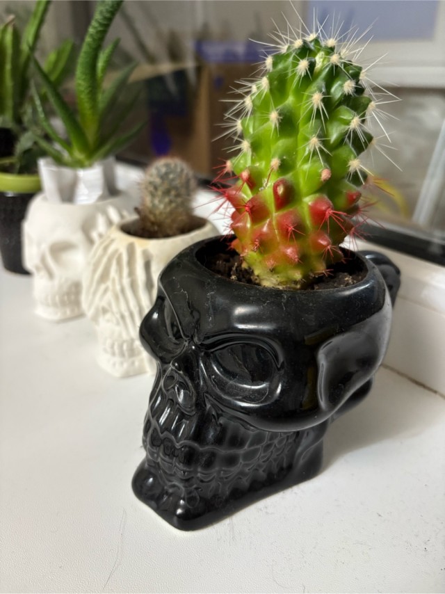 Приятель новый .