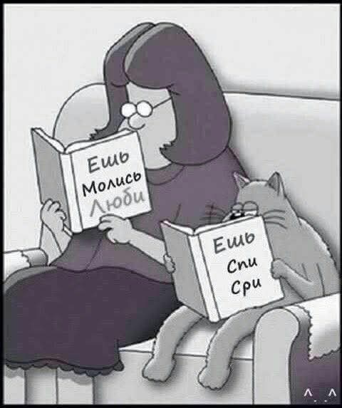 Подборка картинок-баянов с котиками и про котиков. Выпуск 34.