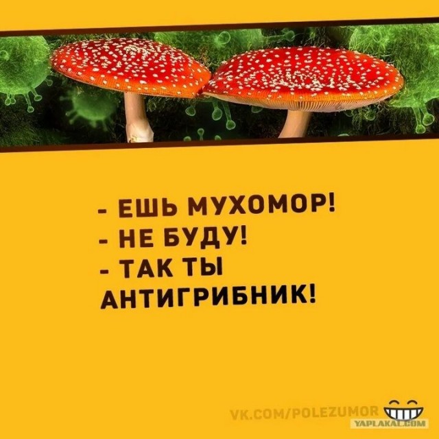 Самое вакцинированное место на Земле…