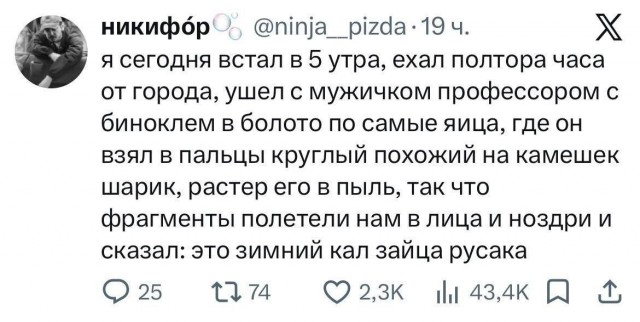Картинки для деградации 204 (разной степени свежести)