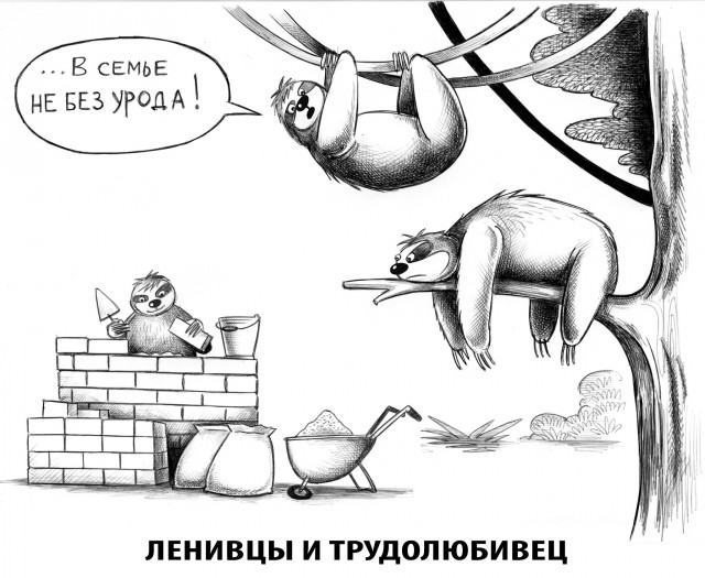 Картинки для деградации 219 (разной степени свежести)