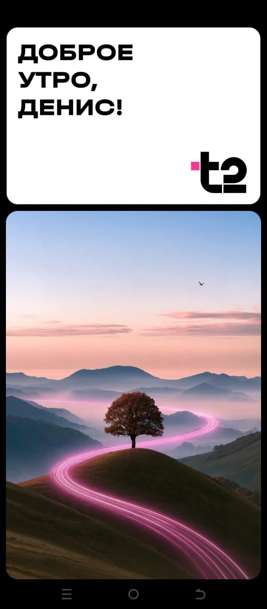 Т2, птичка