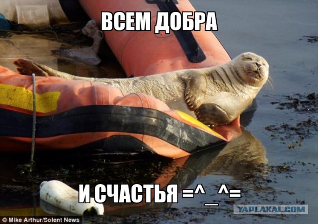 Я хочу замуж