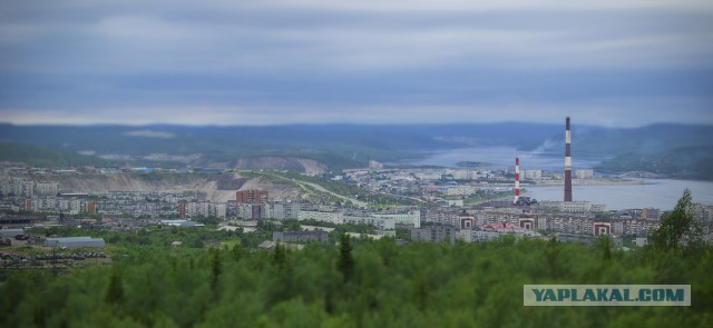 Командировка в Мурманск прошла отлично