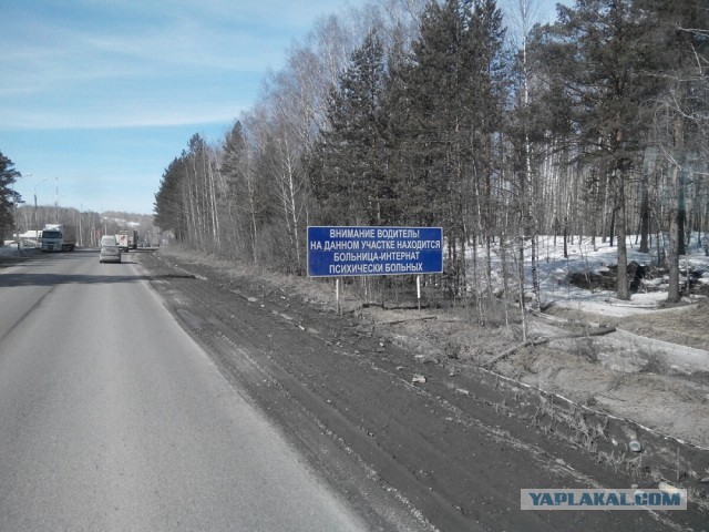 Странствия желтой скамейки)