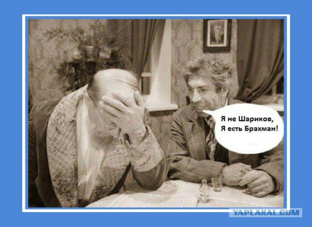 Анатомия Бога