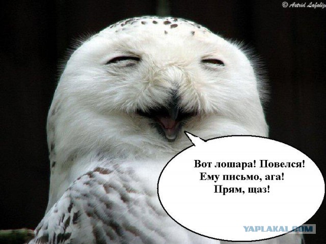 Странное явление