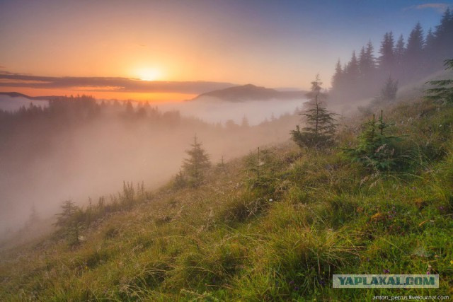 Подборка картинок