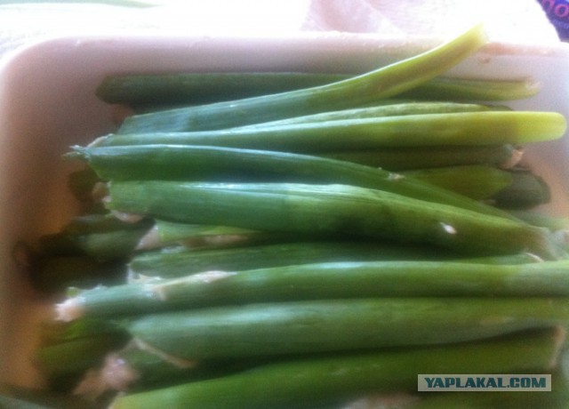 Кухня (кулинарное и околокулинарное общение)