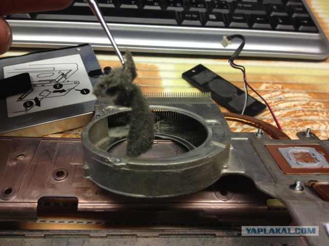 Покупка б/у ноутбука – лотерея или трезвый расчет