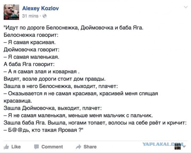 Порция картинок из сети
