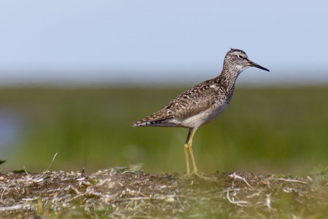 Просто Природа