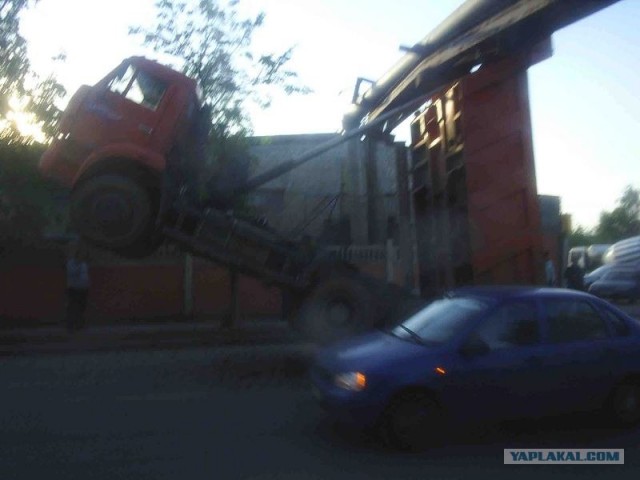 Встал на дыбы