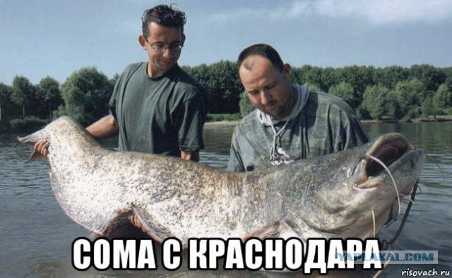 Спонцар! Срочно нужен спонцар!