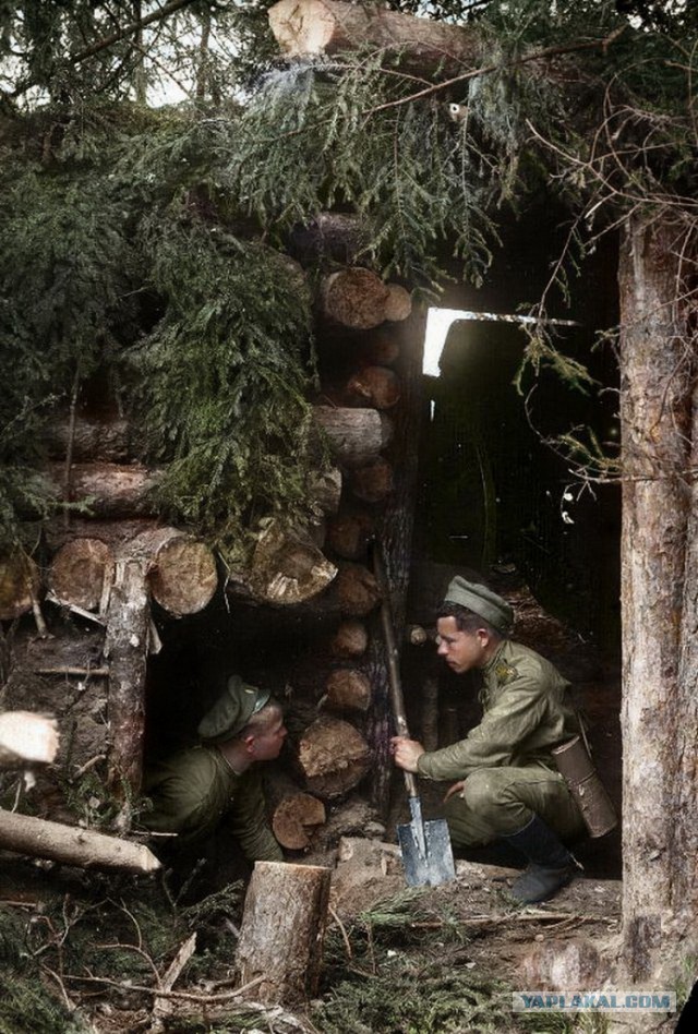 Раскрашенные фотографии русских в Первой мировой войне