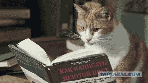 Станет ли Путин рождественским поросенком?