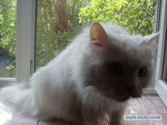 КОТовторник 13.04.2010г.