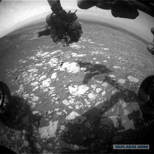 Зонд Parker Solar Probe прислал фотографию Земли с расстояния более 43 млн км.