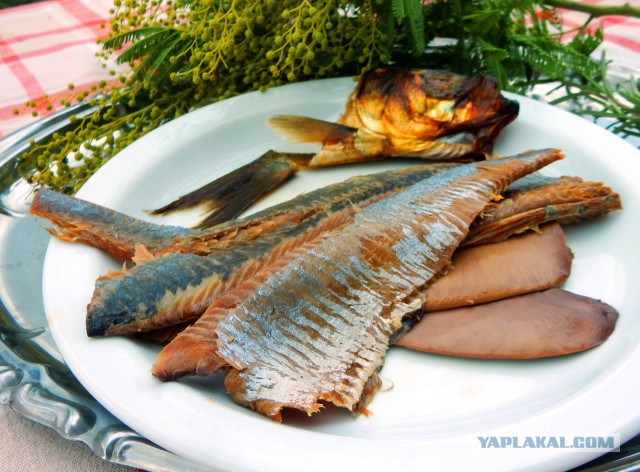 Селедка под шубой - 2019