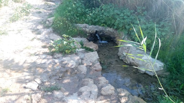 Мыть сапоги в индийском океане, или как мы в Морской Чулек гоняли