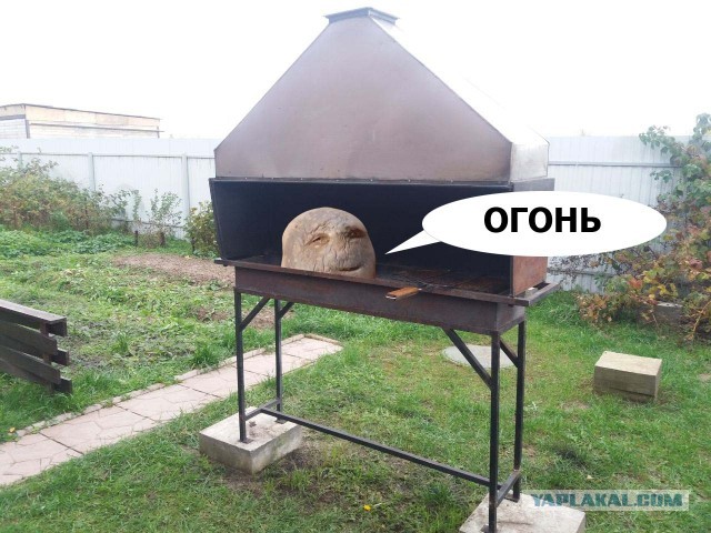 Прямо в душу смотрит