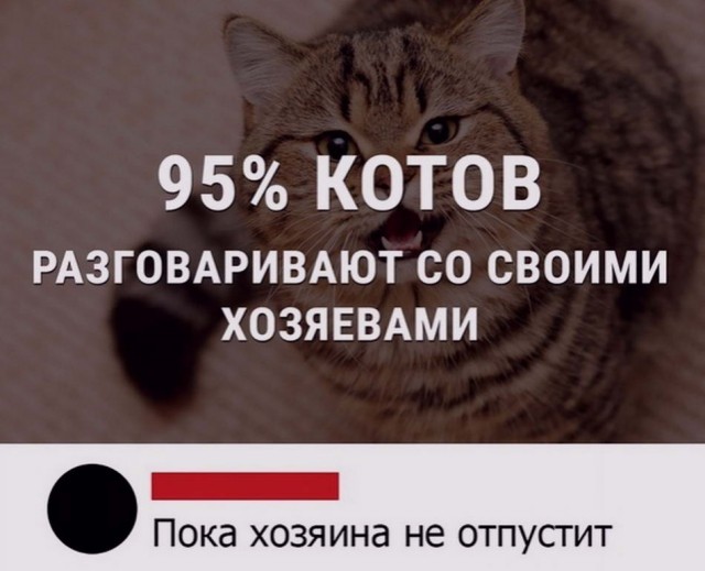Бредзона