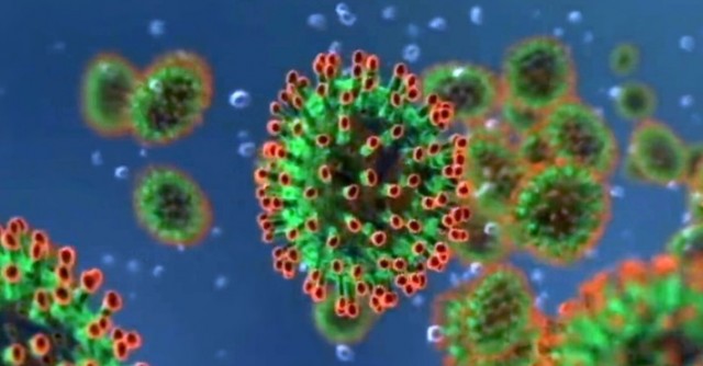 В России выявили двух первых больных коронавирусом