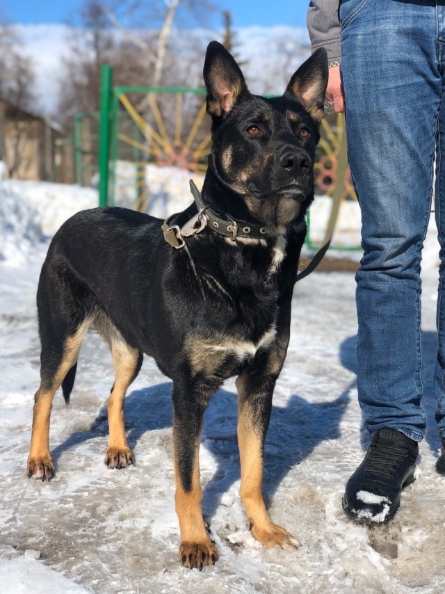 Живность 15.03.20