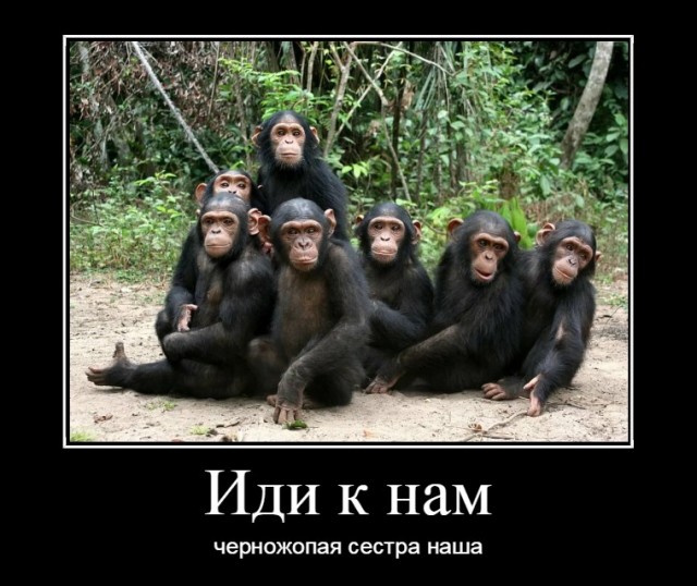 Вот и дождались