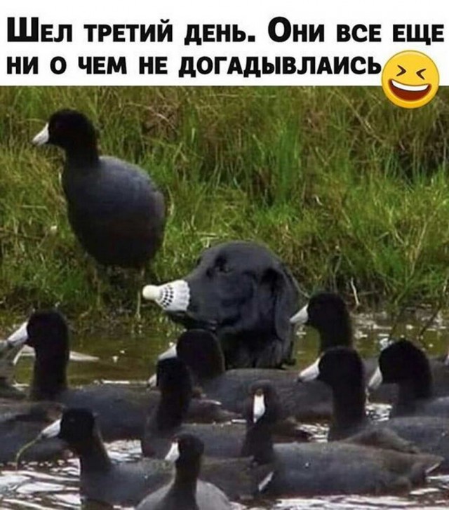 Бредзона 12.05.2020