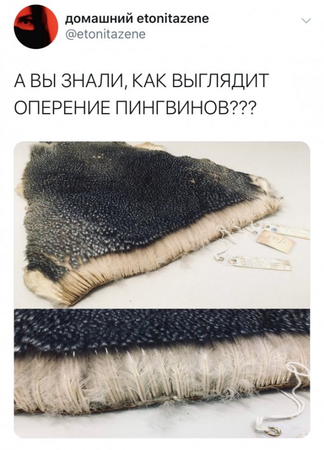 Так себе картинки 29.05.2020