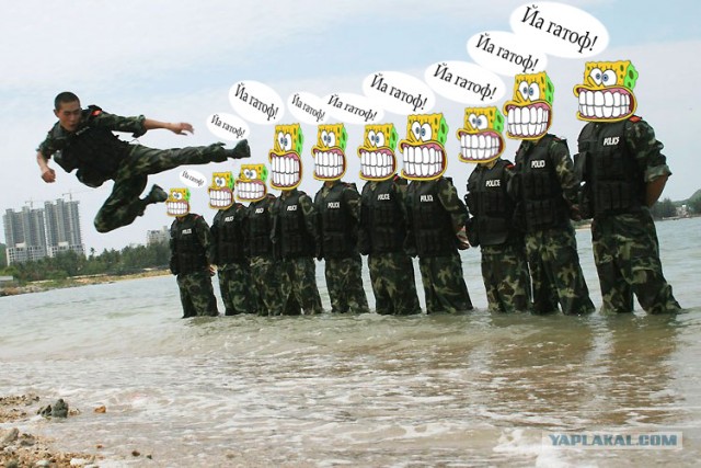 Новые решения в условиях кризиса