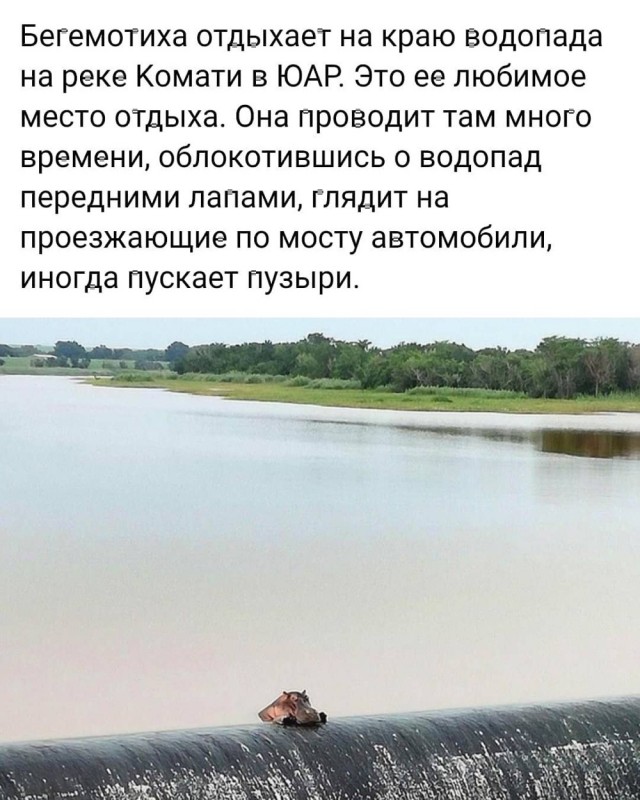 Просто добрые картинки. Всем хорошего дня!