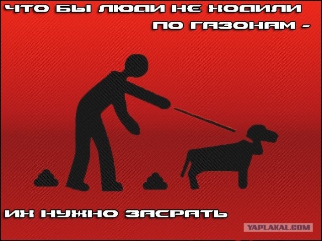 Фотожаба: Собака друг человека