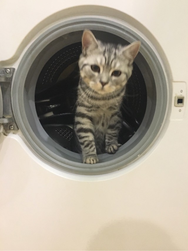 Некоторые виды маленькости