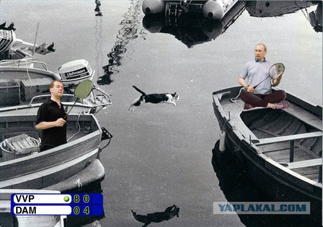 Фотожаба: Полет Барсика
