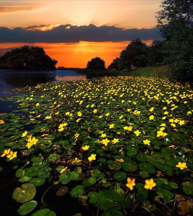 Нереальная красота таёжного озера