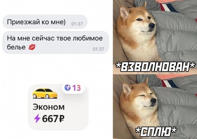 Весёлый полтишок 22.03